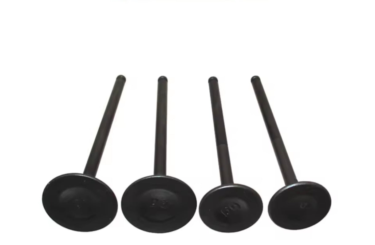Kit soupapes Daytona anima