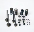 Kit mise a jour soupapes Daytona anima 4V