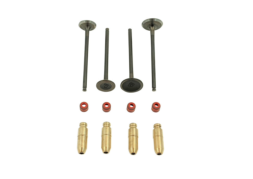 Kit de soupape TBparts surdimensionné + guide en bronze & Joint de Queue soupapes – Daytona anima 4v