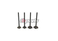Pack Soupapes TBparts, admission surdimensionnée échappement – Daytona anima 4v