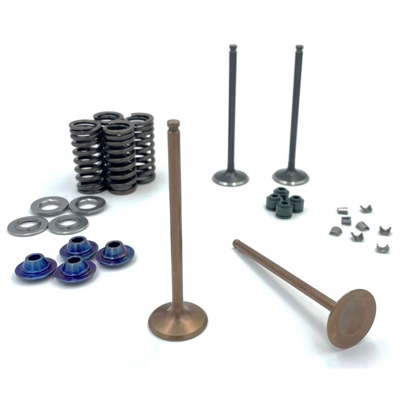 Kit de distribution titane — Moteurs Daytona Anima 4V