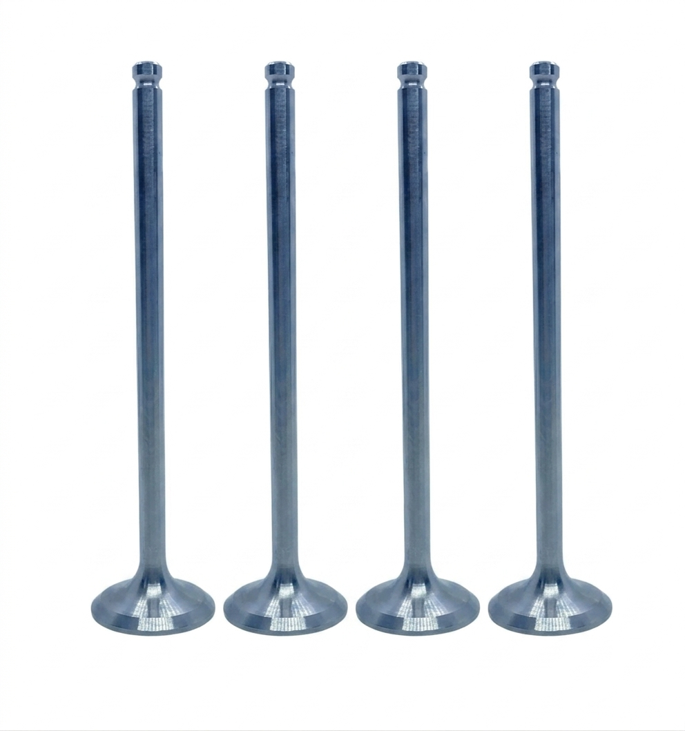 Pack  Soupapes titane Pour Daytona Anima 4v