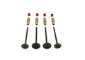Kit de soupape TBparts surdimensionné + guide en bronze & Joint de Queue soupapes – Daytona anima 4v