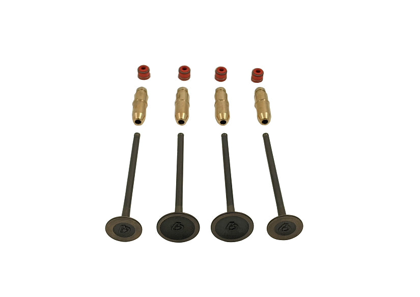 Kit de soupape TBparts surdimensionné + guide en bronze & Joint de Queue soupapes – Daytona anima 4v